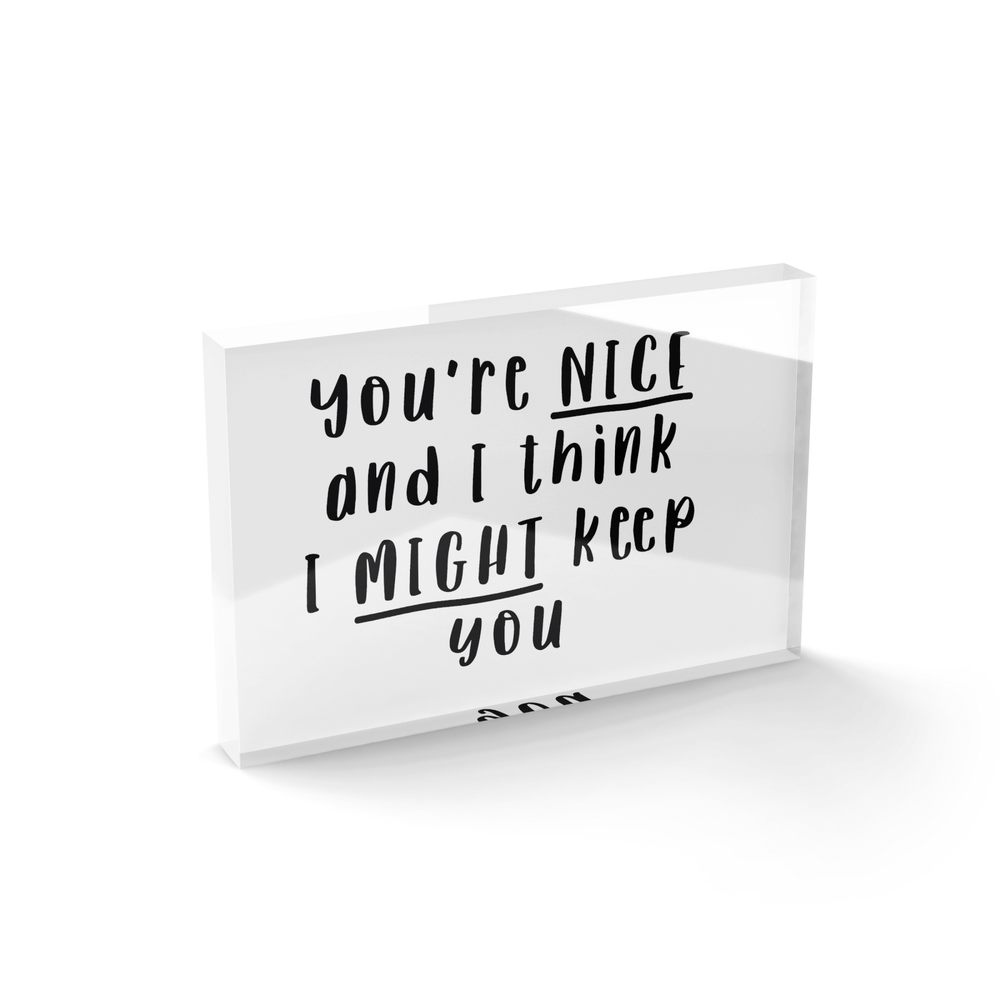 You're Nice And I Think I Might Keep You Glass Block - 80mm x 60mm Afbeelding 1