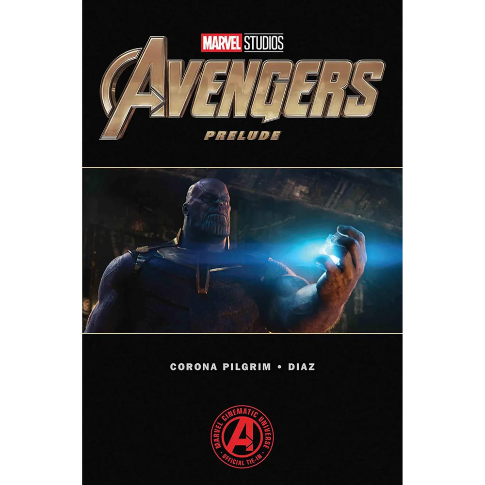 Marvels Avengers: Endgame Prelude (paperback) Afbeelding 1