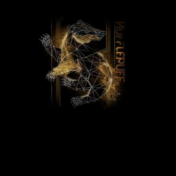 Harry Potter Hufflepuff Geometric trui - Zwart