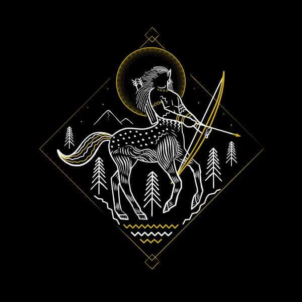 Harry Potter Ban de Centaur trui - Zwart