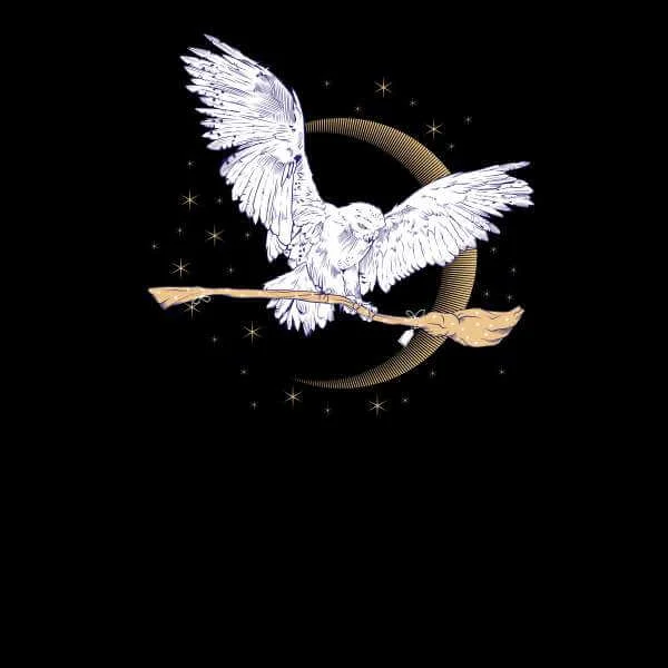 Harry Potter Hedwig Broom trui - Zwart