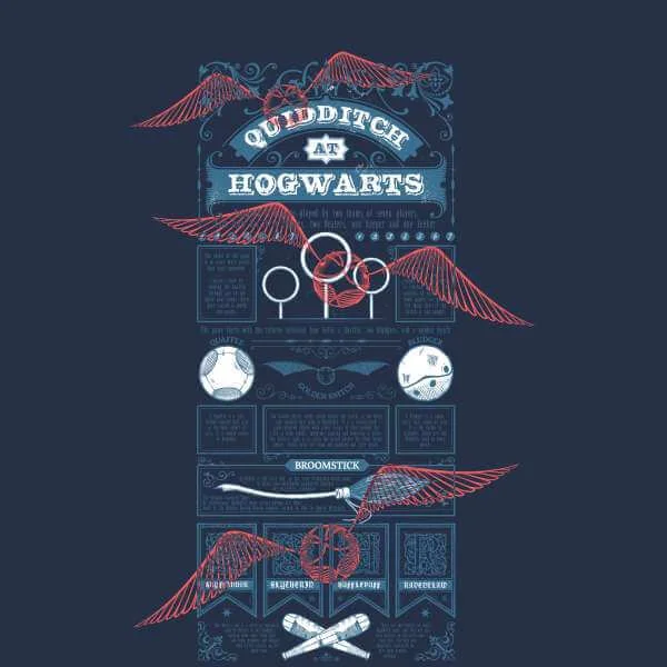 Harry Potter Quidditch At Hogwarts t-shirt - Navy