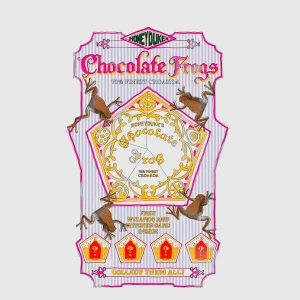 Harry Potter Chocolate Frog dames t-shirt - Grijs