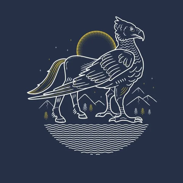 Harry Potter Scheurbek dames t-shirt - Navy