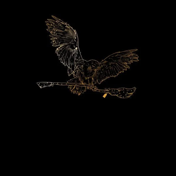 Harry Potter Hedwig Broom Gold dames t-shirt - Zwart