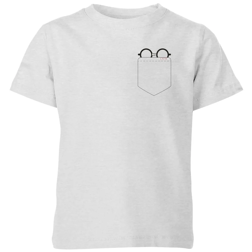 Harry Potter Harry Potter Pocket Glasses kinder t-shirt - Grijs - 98/104 (3-4 jaar) Afbeelding 1