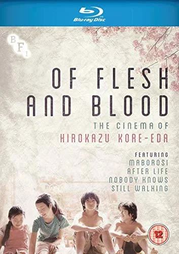 Of Flesh and Blood: The Cinema of Hirokazu Kore-Eda Afbeelding 1
