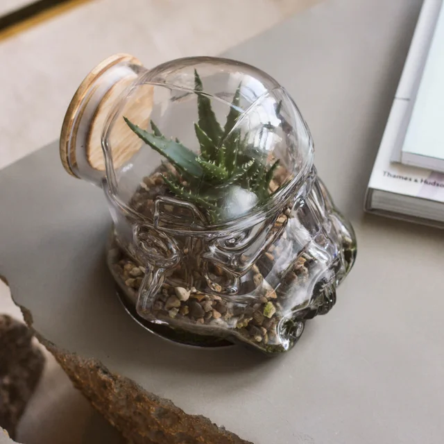 Star Wars Originele Stormtrooper Terrarium