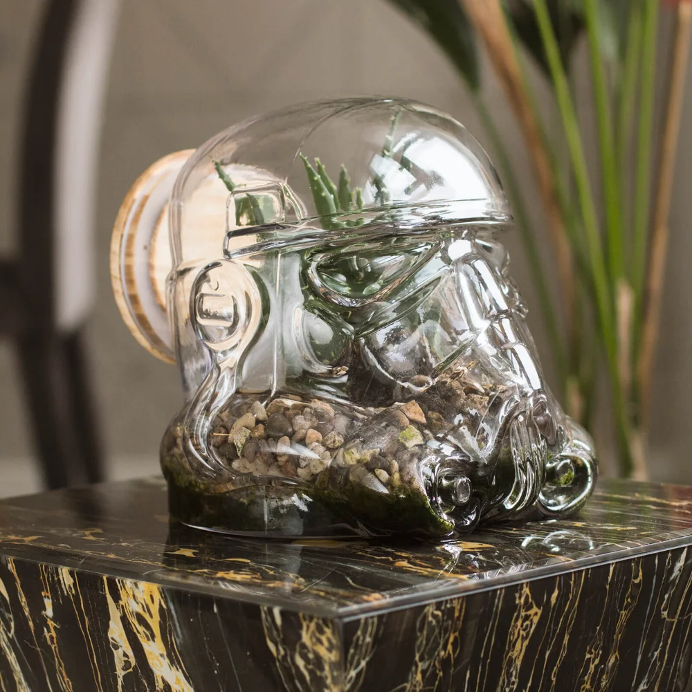 Star Wars Originele Stormtrooper Terrarium Afbeelding 1