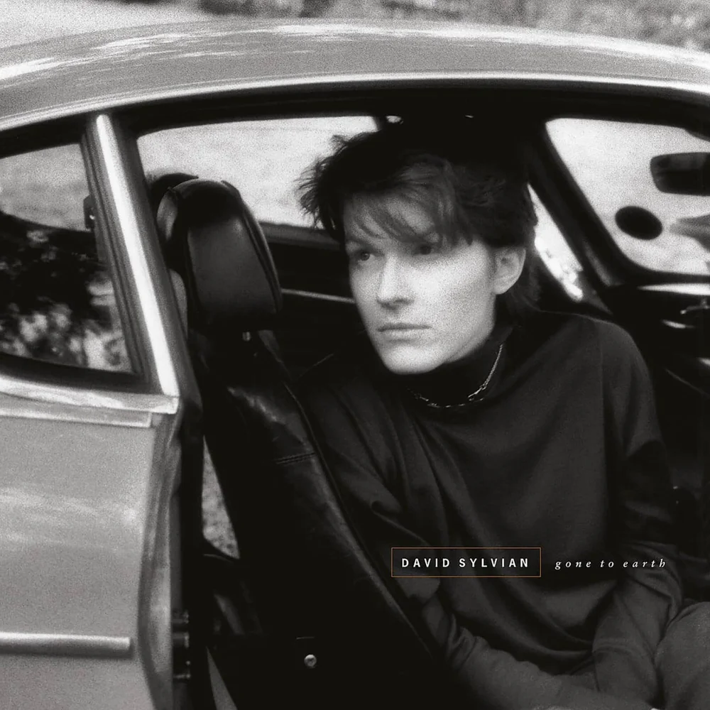 David Sylvian - Gone To Earth 2xLP Afbeelding 1