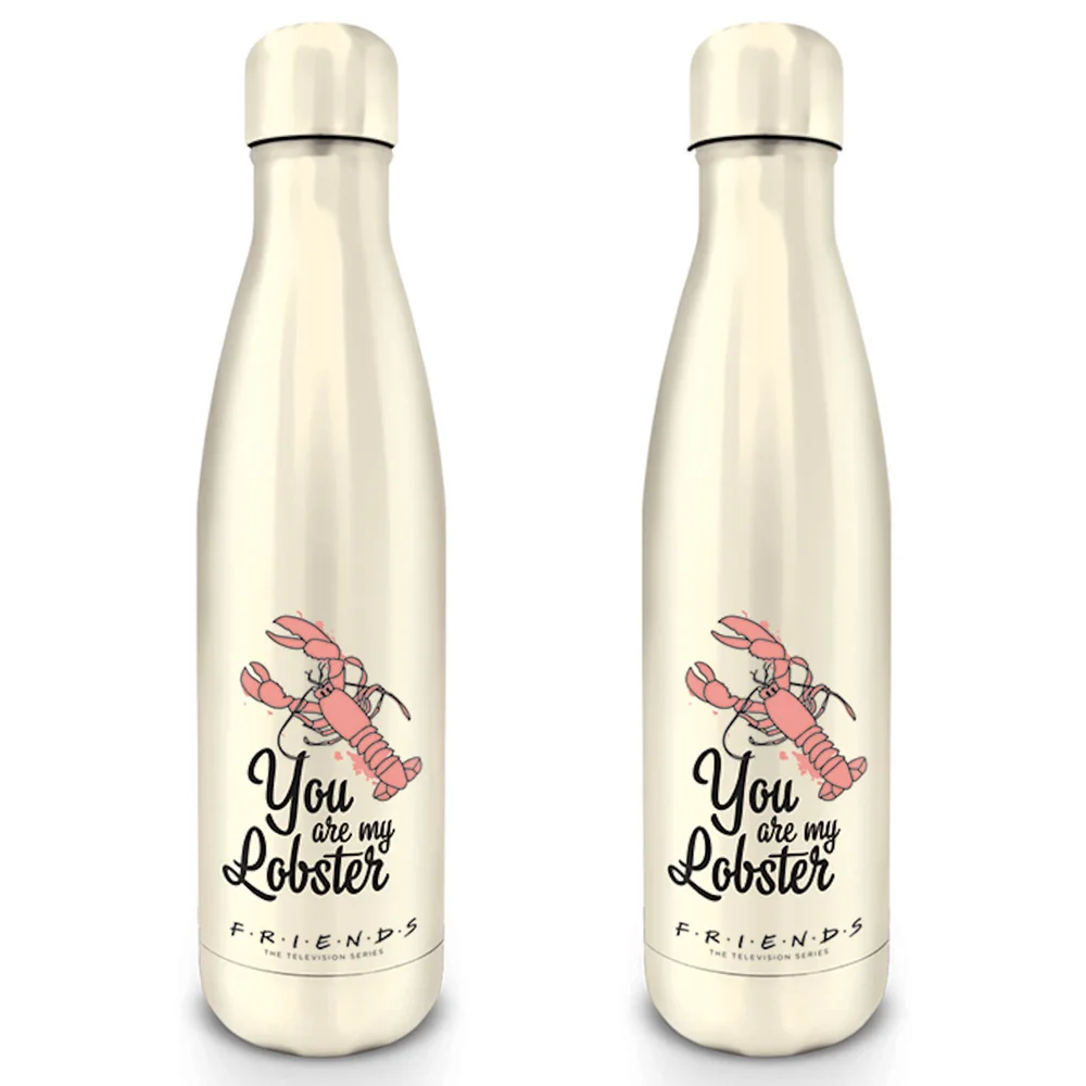 Friends (You Are My Lobster) Metal Drinks Bottle Afbeelding 1