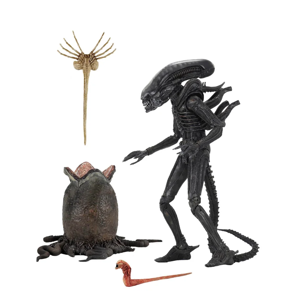 NECA Alien - 17,5 cm Scale Action Figure - Ultimate 40e Jubileum Big Chap Afbeelding 1