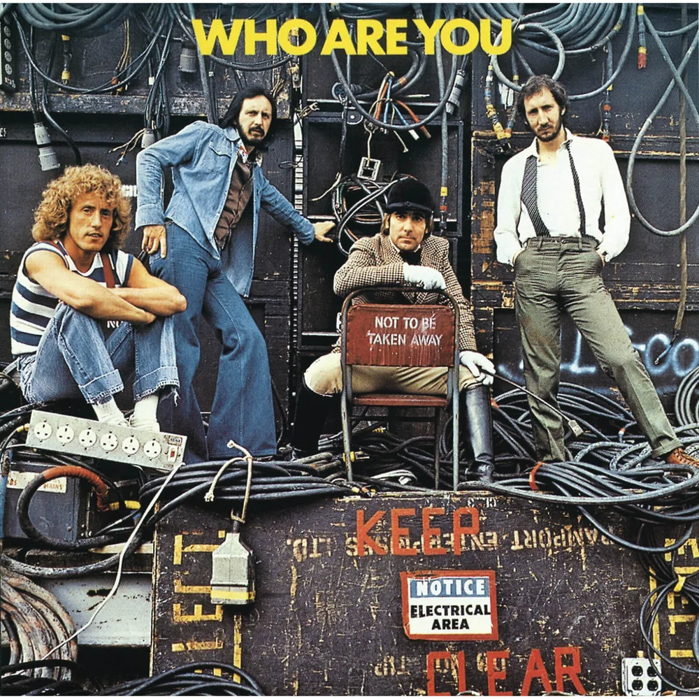The Who - Who Are You LP Afbeelding 1
