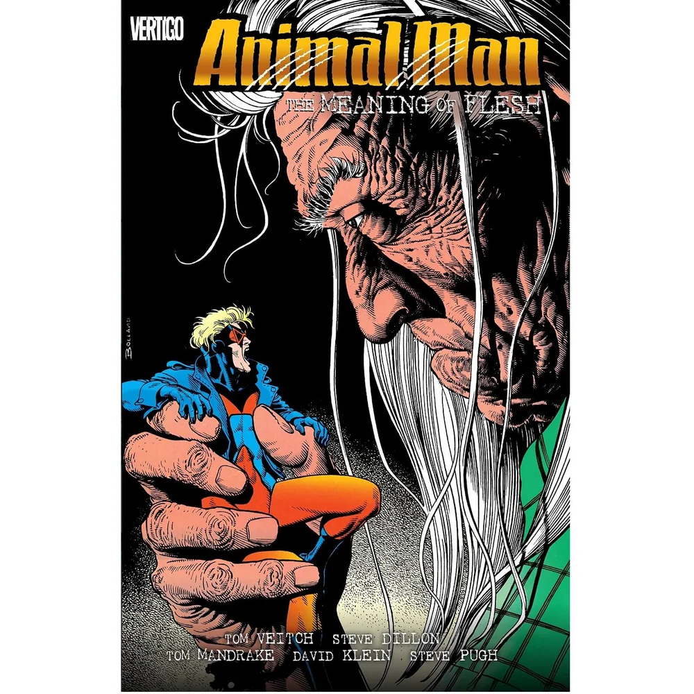 Vertigo Comics Animal Man Trade Paperback Vol. 05 The Meaning of Flesh Afbeelding 1