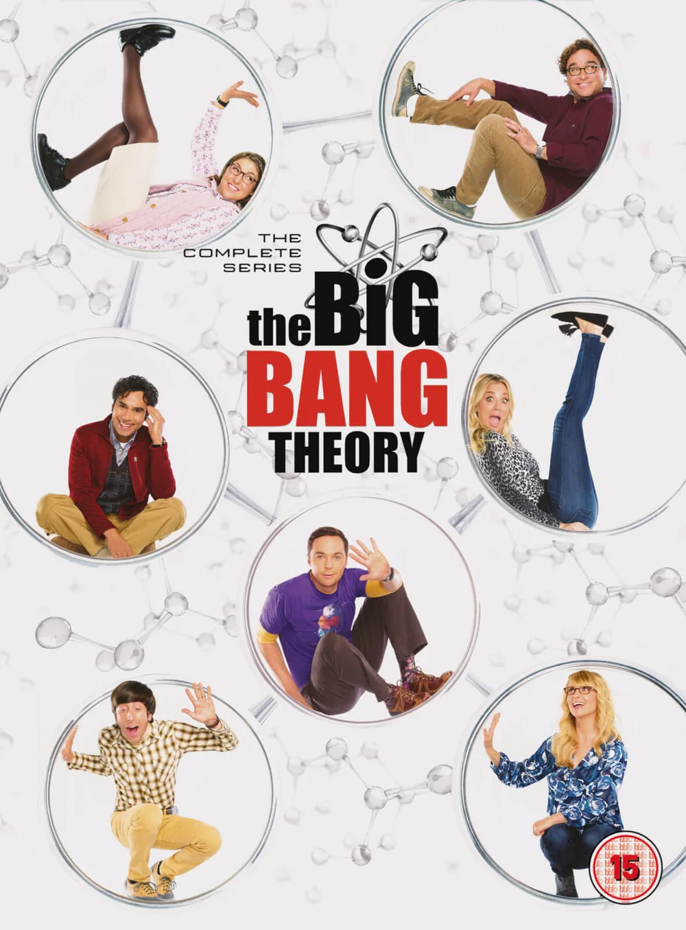 Big Bang Theory Seasons 1-12 Afbeelding 1