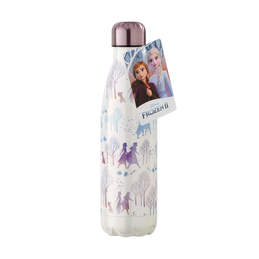 Funko Homeware Disney Frozen 2 Metal Water Bottle Afbeelding 1