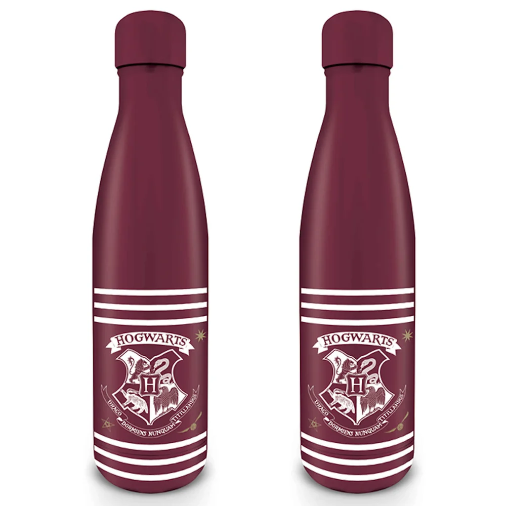 Harry Potter Metalen Drinkfles Afbeelding 1
