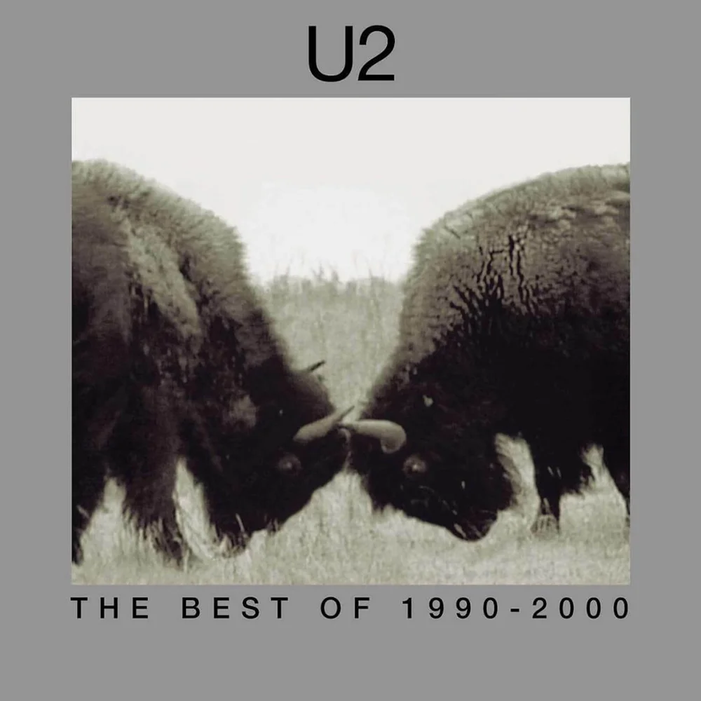 U2 - Het beste van 1990-2000 2xLP Afbeelding 1