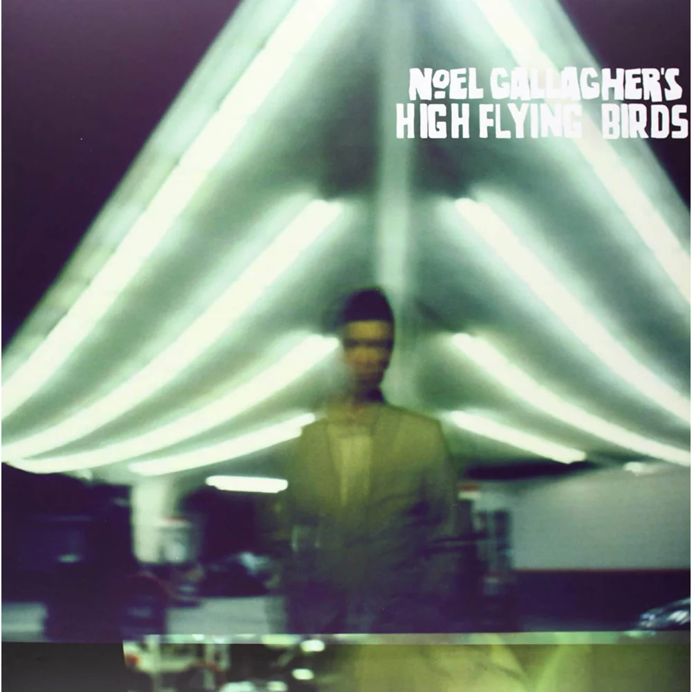 Noel Gallagher's High Flying Birds - Noel Gallagher's High Flying Birds Vinyl Afbeelding 1