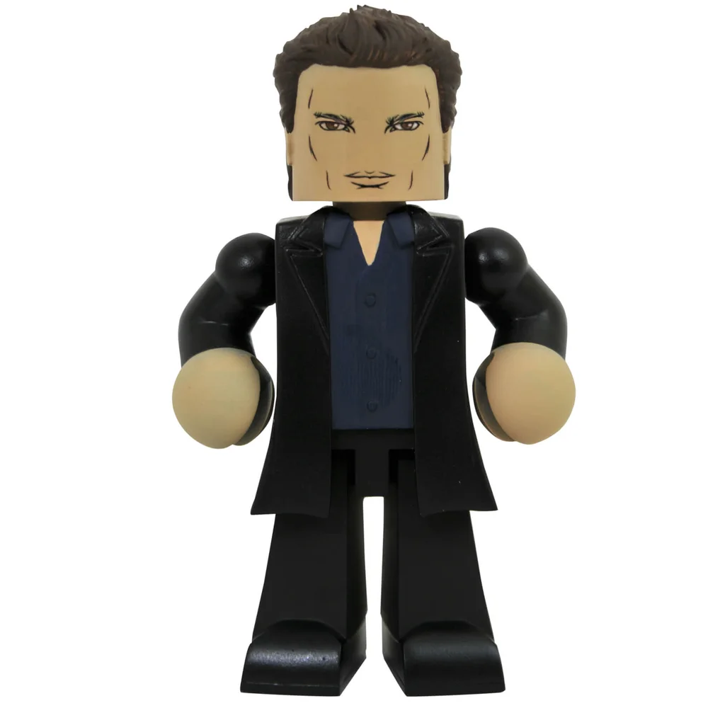 Diamond Select Buffy the Vampire Slayer Angel Vinimate Afbeelding 1