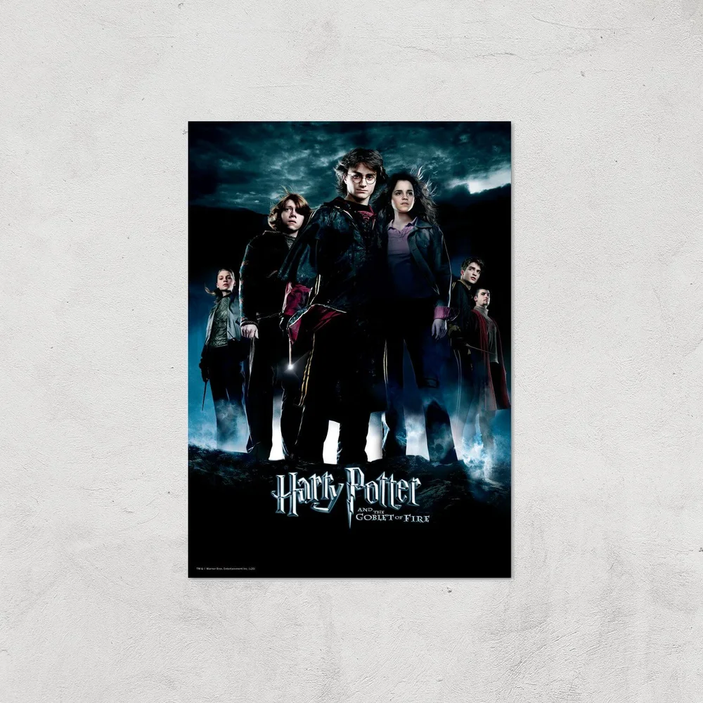 Harry Potter and the Goblet Of Fire Giclee Art Print - A4 - Print Only Afbeelding 1