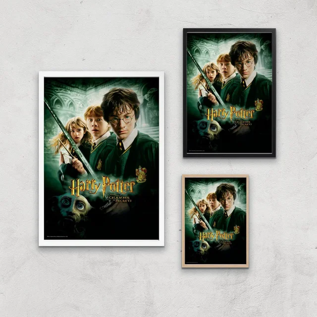 Harry Potter and the Chamber Of Secrets Giclee Art Print