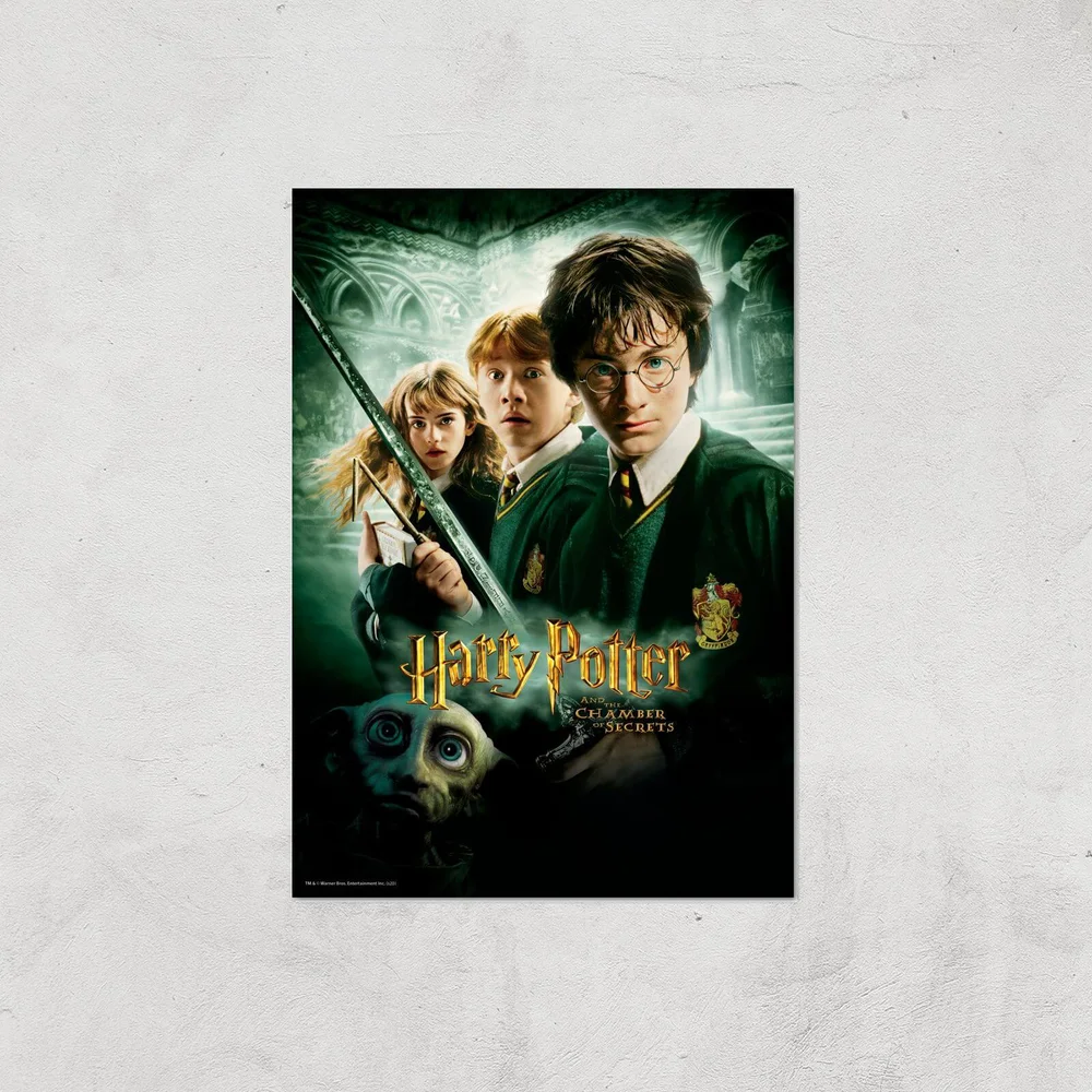 Harry Potter and the Chamber Of Secrets Giclee Art Print - A4 - Print Only Afbeelding 1