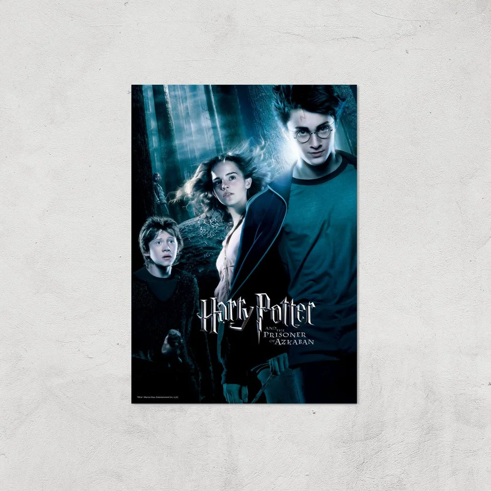 Harry Potter and the Prisoner Of Azkaban Giclee Art Print - A4 - Print Only Afbeelding 1