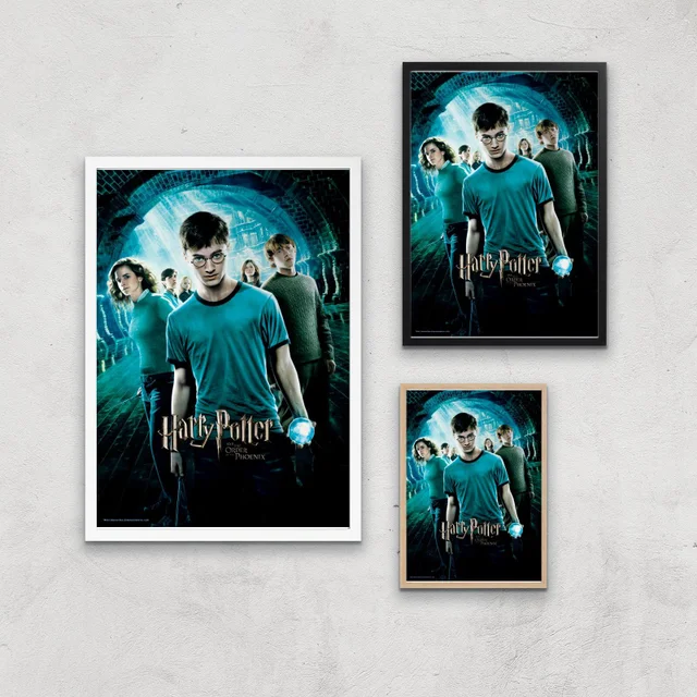 Harry Potter and the Order Of The Phoenix Giclee Art Print