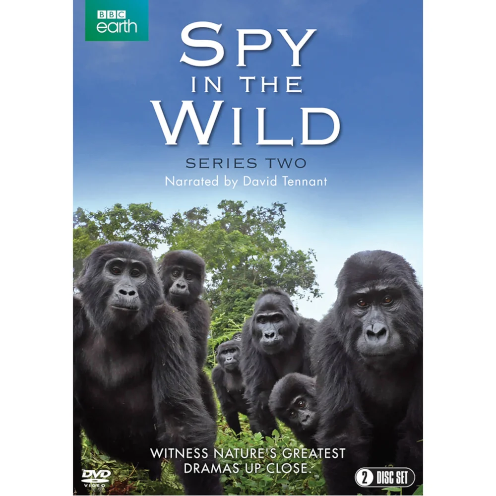 Spy in the Wild: Series 2 Afbeelding 1