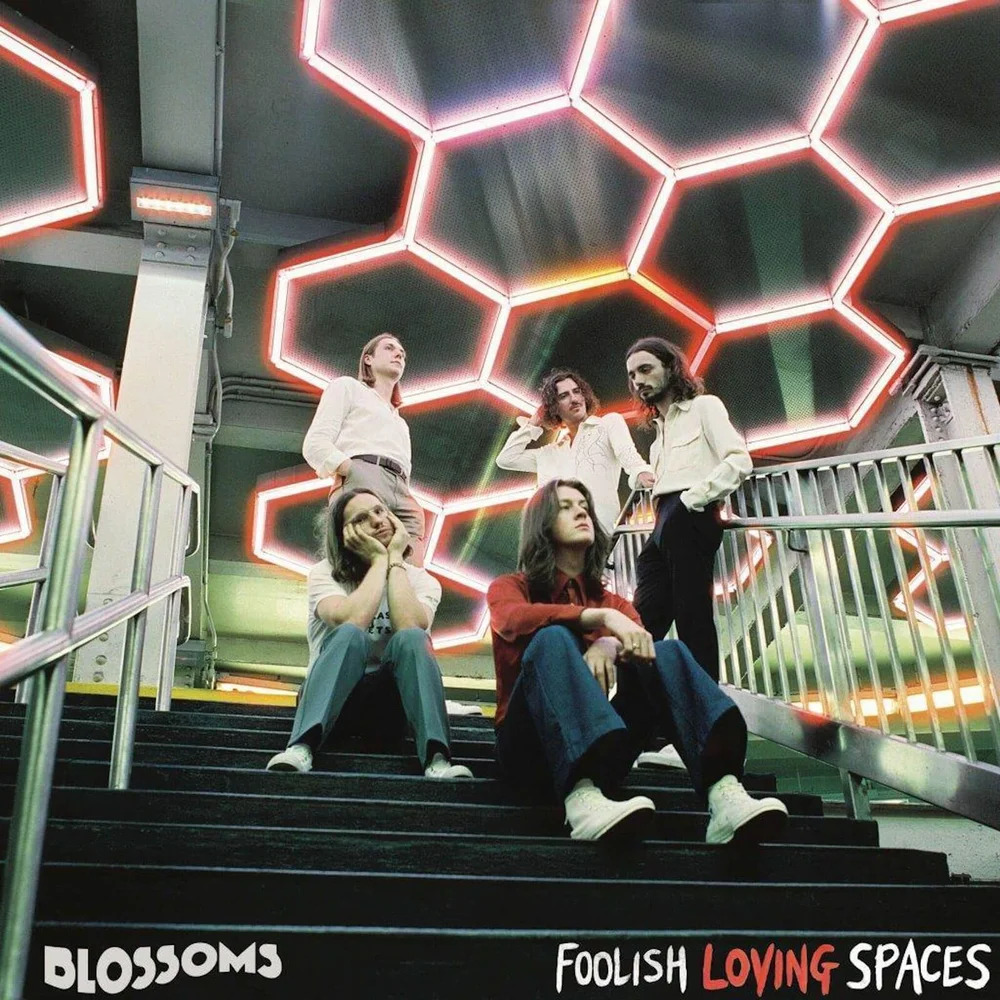 Blossoms - Foolish Loving Spaces LP Afbeelding 1