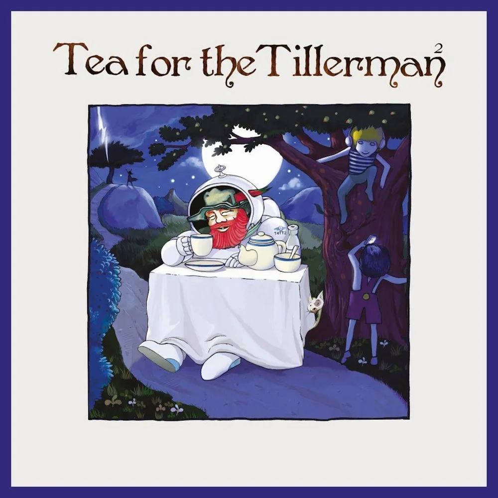 Yusuf / Cat Stevens - Tea For The Tillerman 2 Black Vinyl Gatefold Vinyl Afbeelding 1