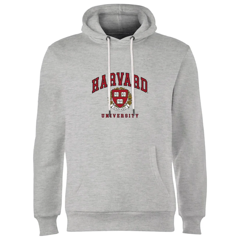 Harvard Hoodie - Grey - S Afbeelding 1