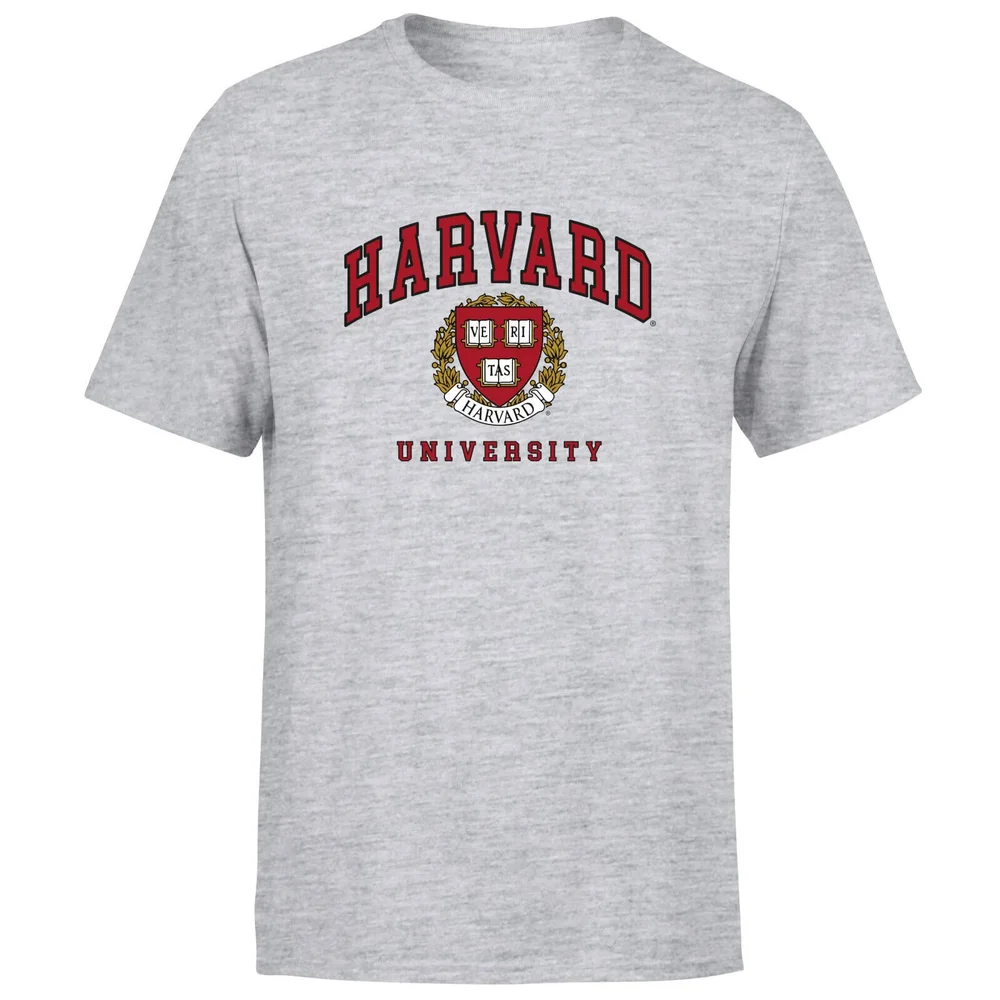 Harvard Gray Tee Men's T-Shirt - Grey - S Afbeelding 1