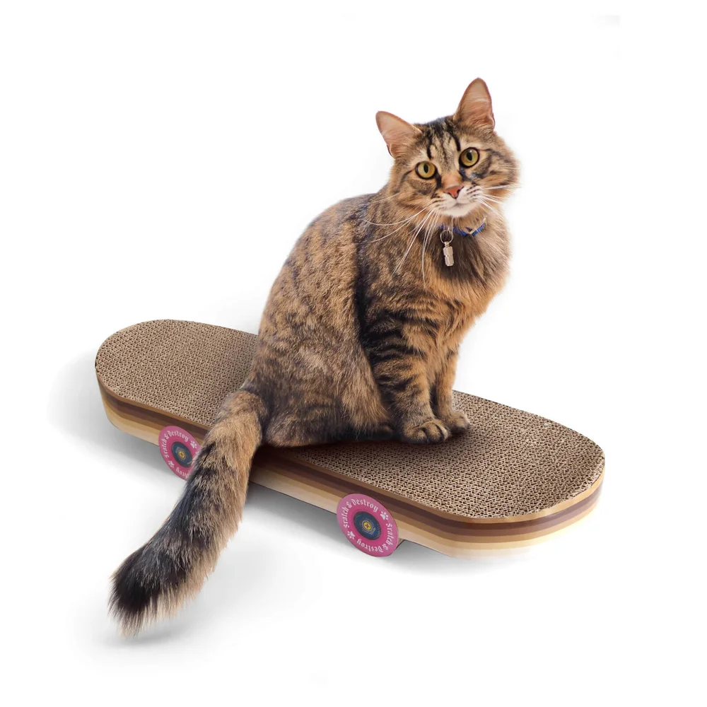CAT SCRATCH SKATEBOARD Afbeelding 1