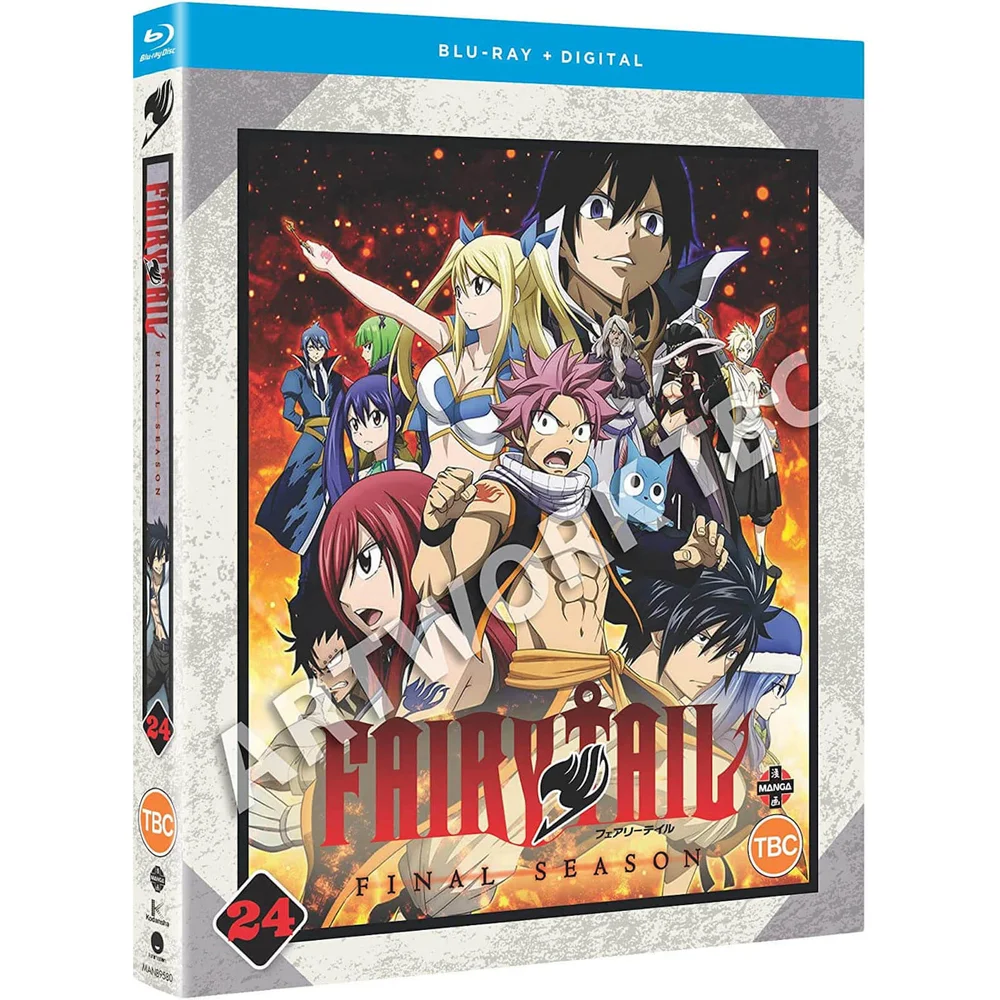 Fairy Tail: The Final Season: Deel 24 (Afleveringen 291-303) Afbeelding 1