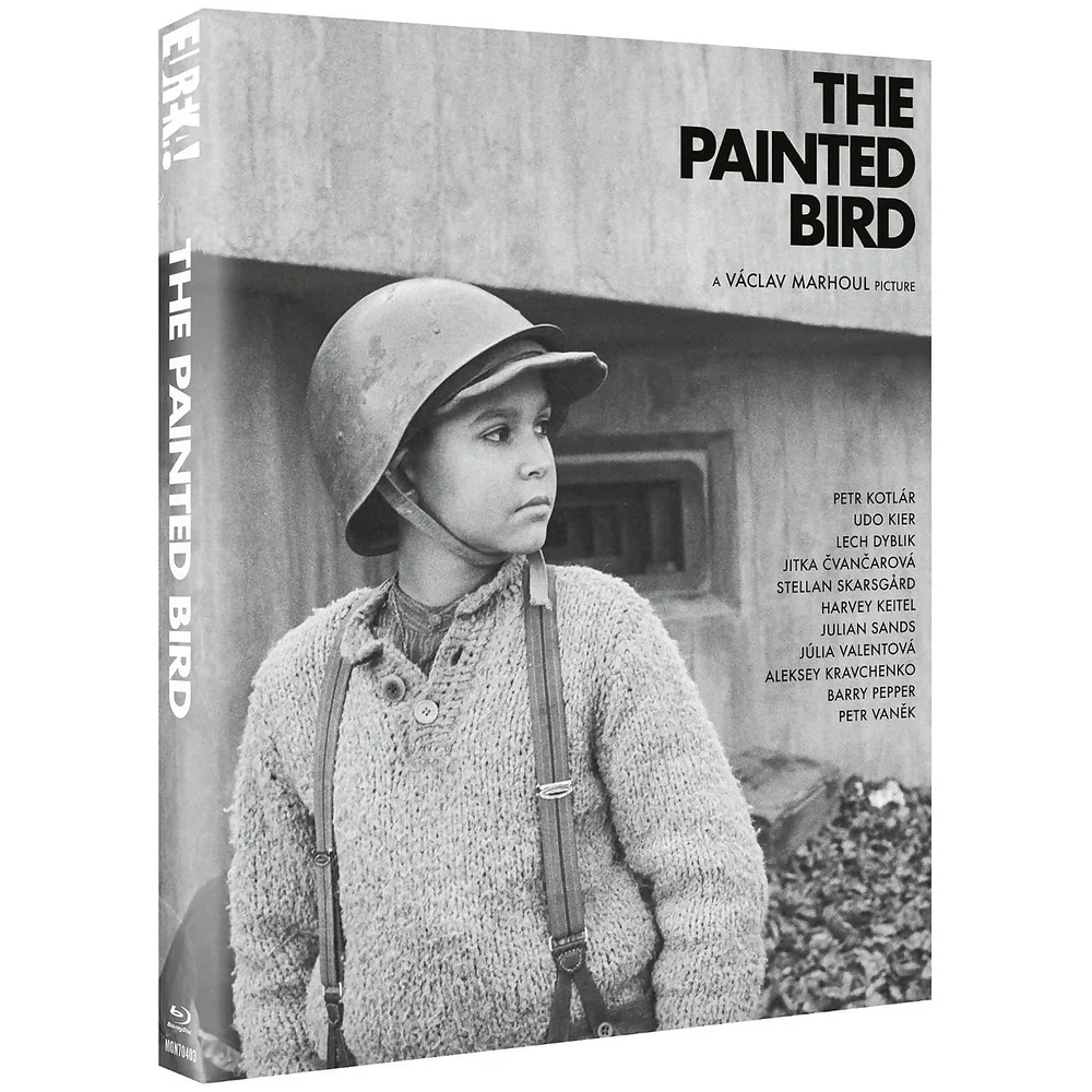 The Painted Bird Afbeelding 1