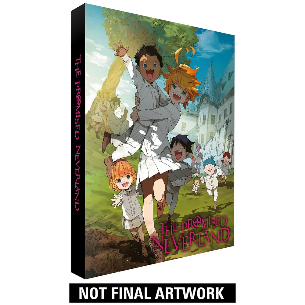 Het beloofde Neverland - Collector's Editie Afbeelding 1