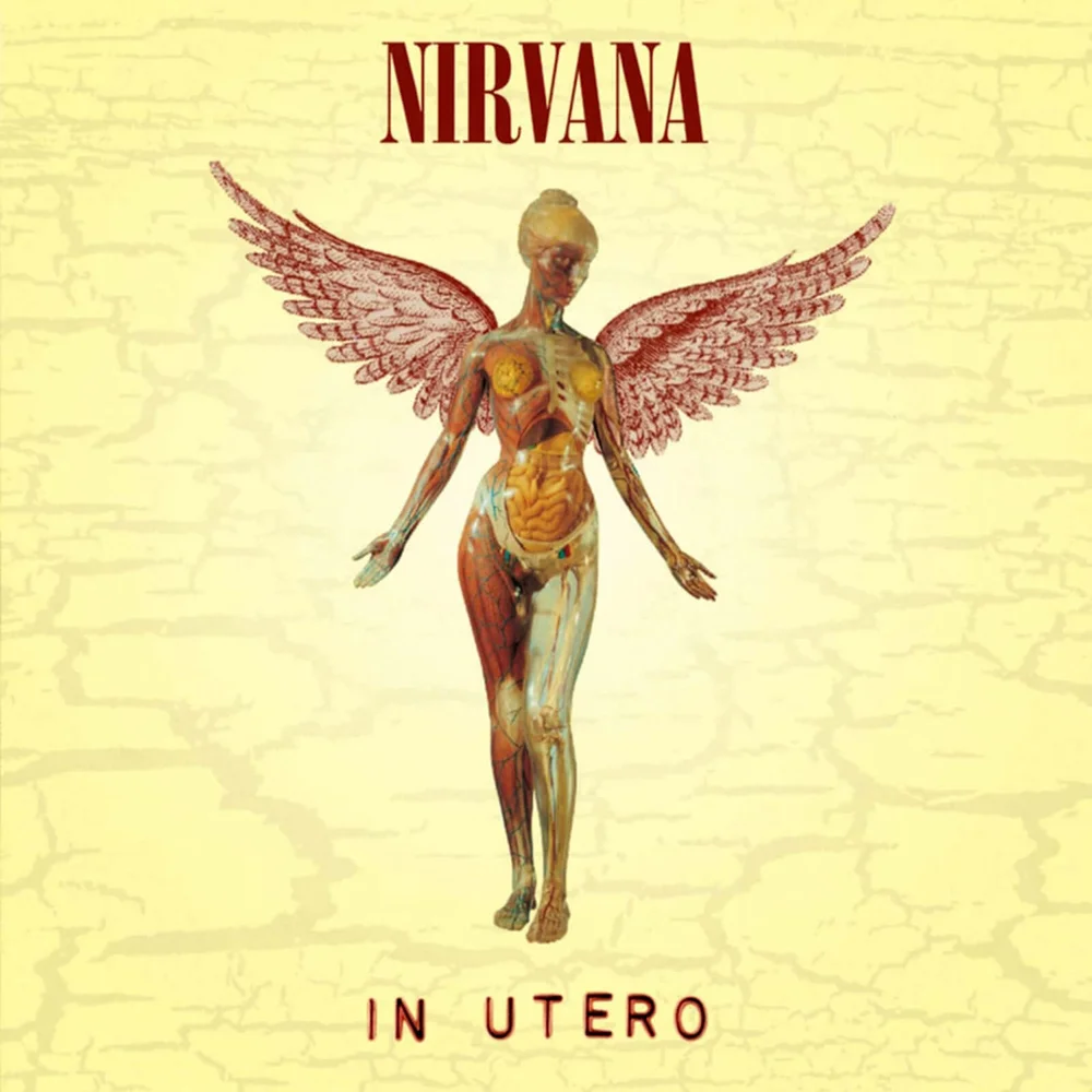 Nirvana - In Utero Vinyl Afbeelding 1