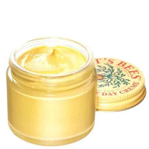 Burt's Bees Carrot Nutritive Day Creme Afbeelding 1