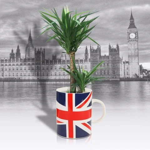 Giant Union Jack Mug Plant Pot Afbeelding 1