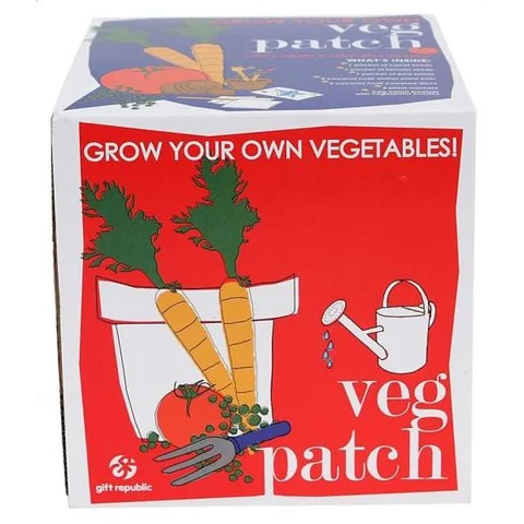 Sow and Grow Veg Patch Afbeelding 1