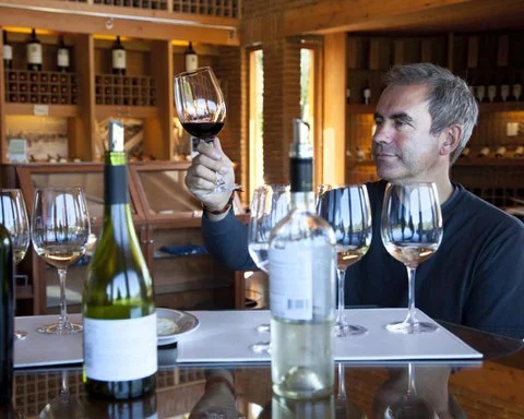 Two for the Price of One Demystifying Wine Course Afbeelding 1