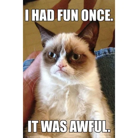 Grumpy Cat - Maxi Poster - 61 x 91.5cm Afbeelding 1