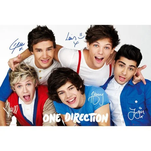 One Direction Colours - Maxi Poster - 61 x 91.5cm Afbeelding 1