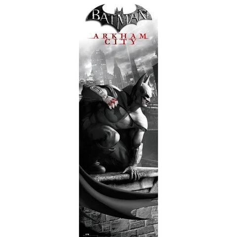 Batman Arkham City Cover - Midi Poster - 30.5cm x 91.5cm Afbeelding 1