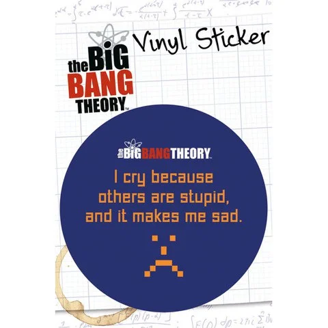 The Big Bang Theory Stupid - Vinyl Sticker - 10 x 15cm Afbeelding 1