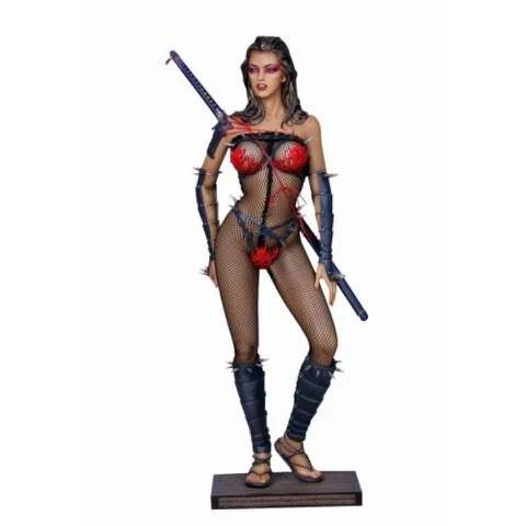 Sideshow Collectibles Lady Ninja Fantasy Figure 1:4 Scale Statue Afbeelding 1