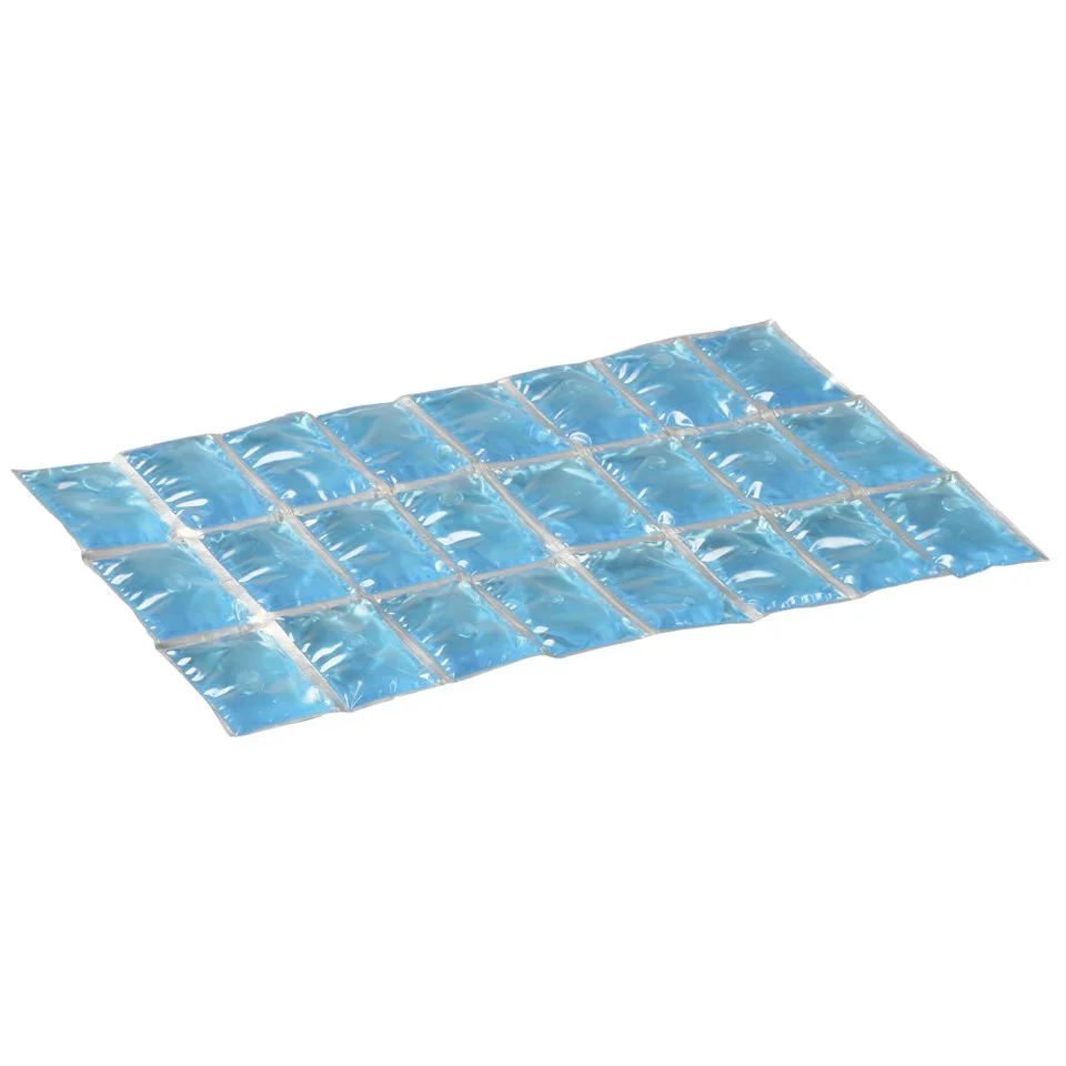 Campingaz Flexi'Freez Pack - Large Afbeelding 1
