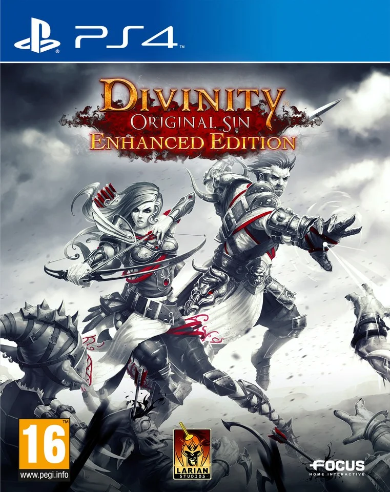 Divinity: Original Sin - Enhanced Edition Afbeelding 1